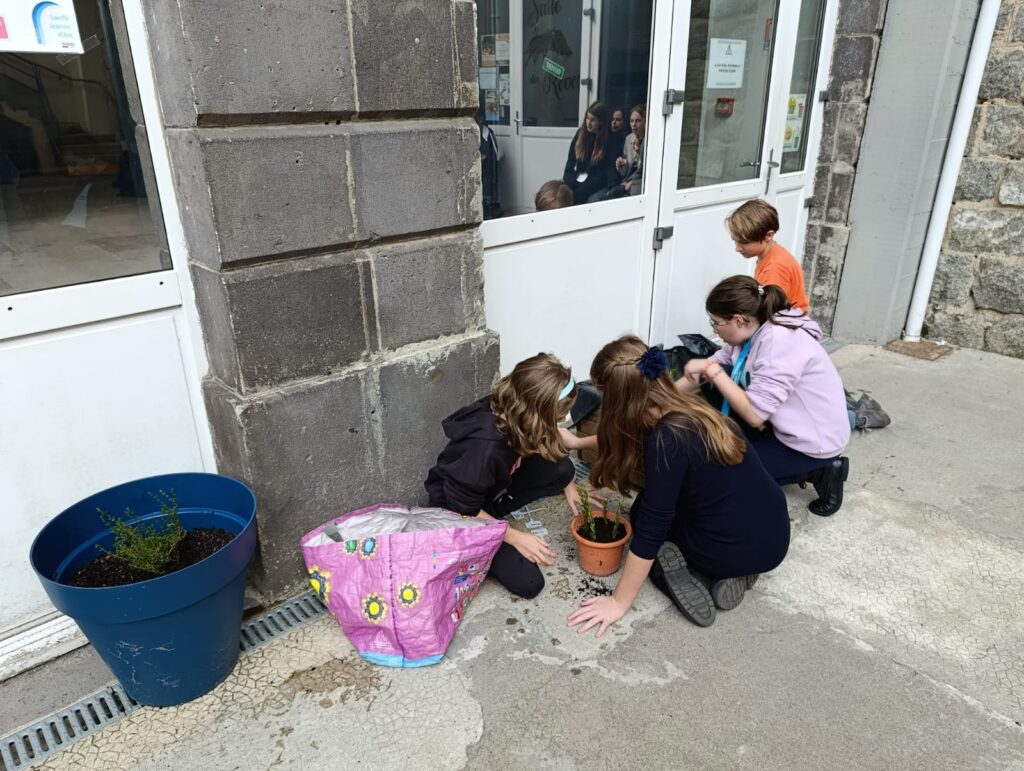 WhatsApp Image 2025-10-13 à 19.41.08_8300a50f