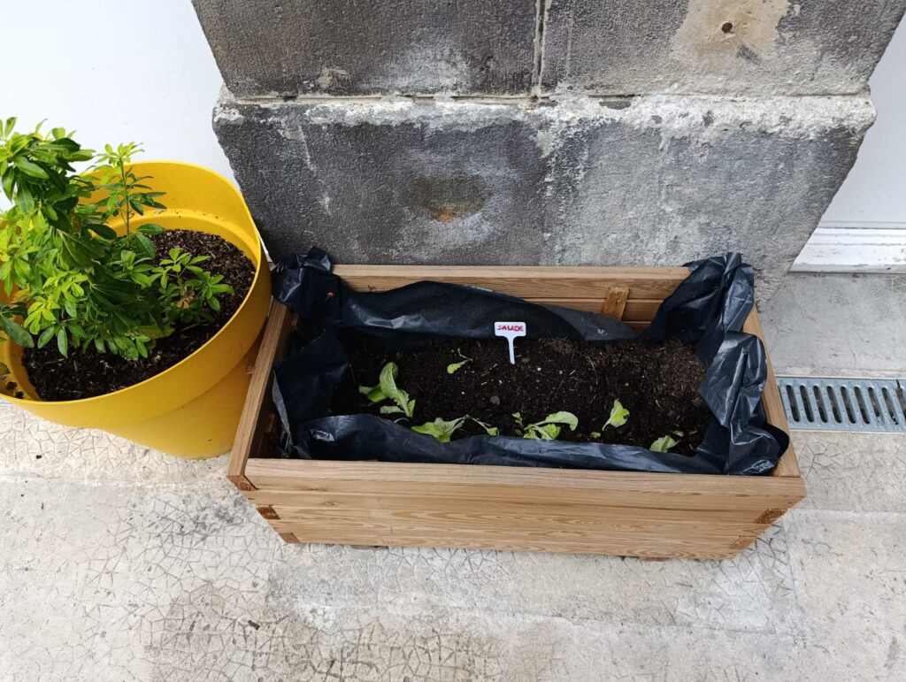 WhatsApp Image 2025-10-13 à 19.41.11_cf86c32b