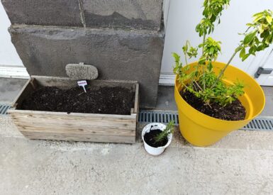 jardinage