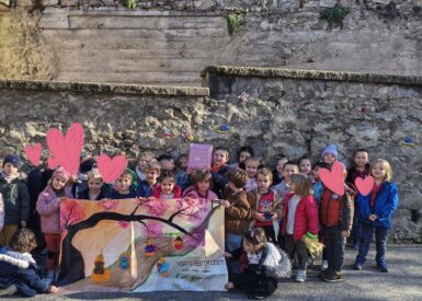 2e-au-concours-de-cucurbitacees