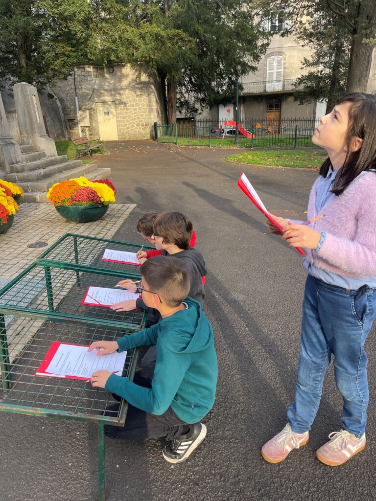 1762936981151 1762936981151