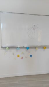 WhatsApp Image 2026-02-27 at 12.12.07 (1)